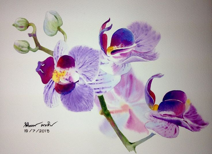 cf263c54e2f960713e784cc948168f83--watercolour (700x508, 284Kb)