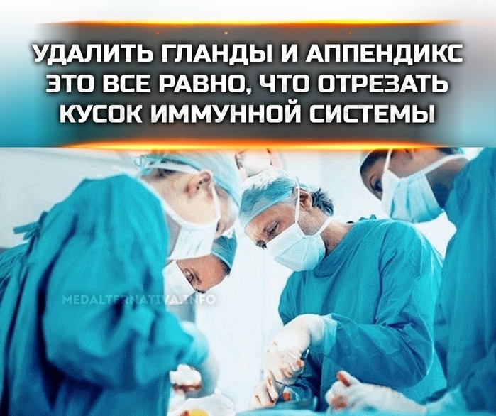        ,      (700x586, 175Kb)