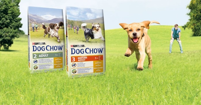 2835299_Dog_Chow5 (700x367, 90Kb)