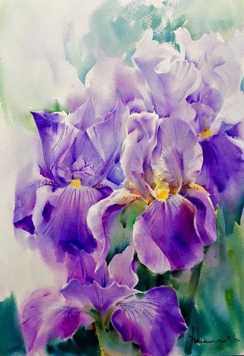 26388cde212f9abc38a2c7ddb956c153--watercolor-flowers-watercolor-paintings (479x700, 70Kb)