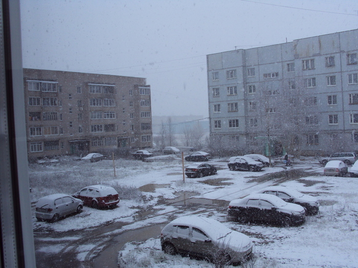DSC03559 (700x525, 197Kb)