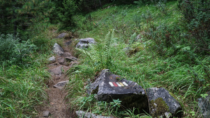 IMG_1004 (700x393, 489Kb)