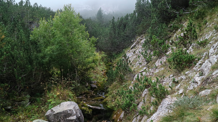 IMG_1103 (700x393, 412Kb)