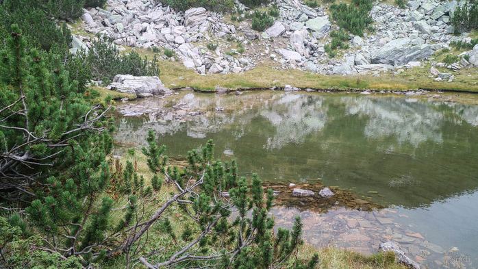 IMG_1113 (700x393, 447Kb)