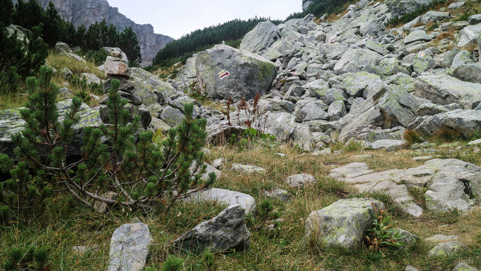 IMG_1119 (700x393, 454Kb)