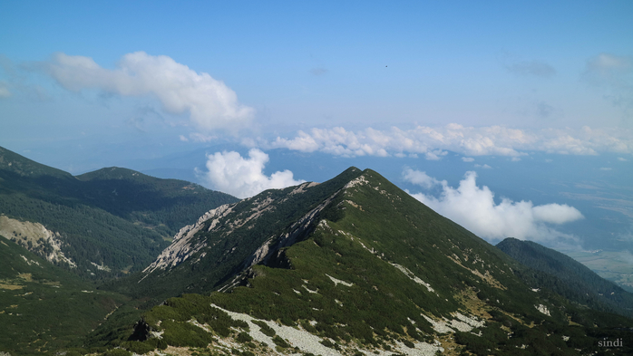 IMG_1136 (700x393, 272Kb)