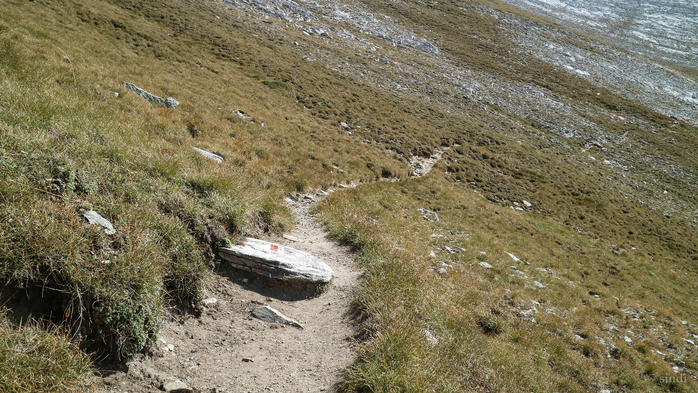 IMG_1151 (700x393, 461Kb)