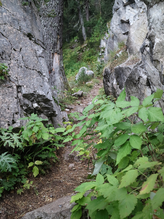 IMG_1097 (525x700, 553Kb)