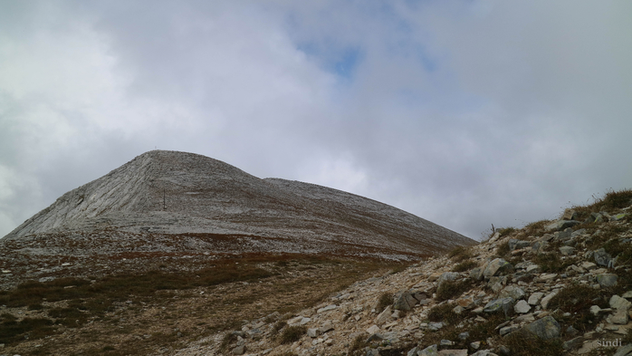 IMG_1163 (700x393, 250Kb)