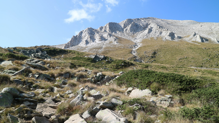 IMG_1254 (700x393, 393Kb)