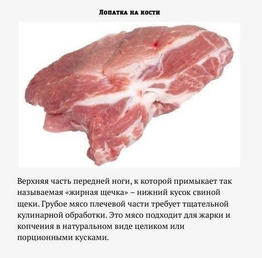 4038133_ChASTI_SVINOI_TYShI_kak_gotovit3 (540x532, 86Kb)