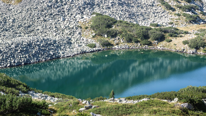 IMG_1300 (700x393, 462Kb)