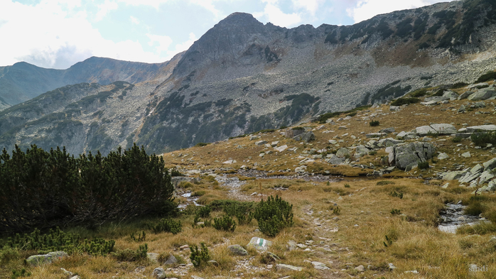 IMG_1317 (700x393, 373Kb)