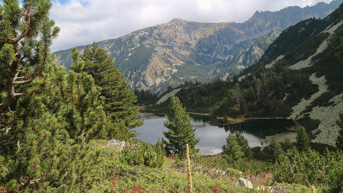 IMG_1335 (700x393, 434Kb)