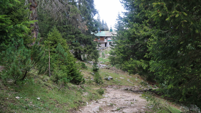 IMG_1365 (700x393, 419Kb)