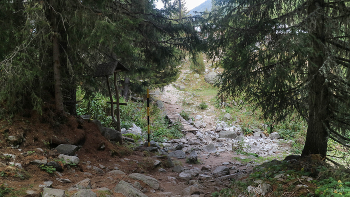 IMG_1368 (700x393, 395Kb)