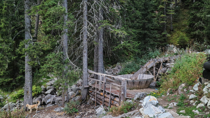 IMG_1373 (700x393, 443Kb)