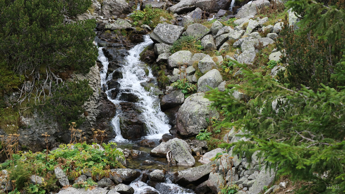 IMG_1407 (700x393, 458Kb)