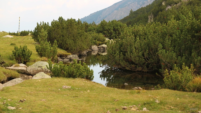 IMG_1413 (700x393, 399Kb)