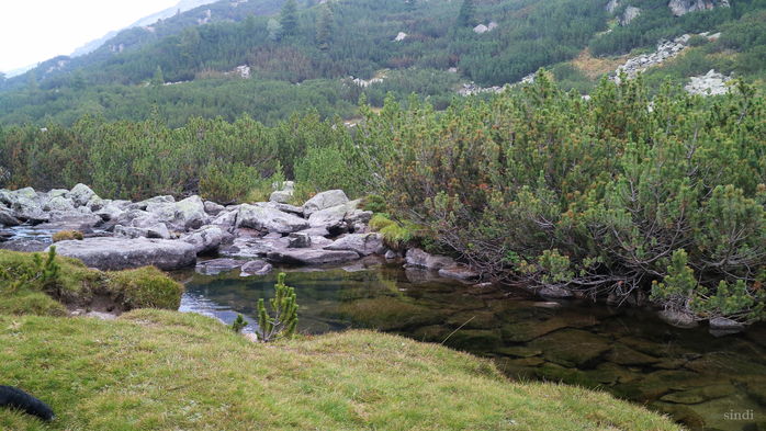 IMG_1422 (700x393, 427Kb)