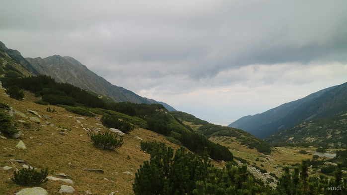 IMG_1440 (700x393, 271Kb)