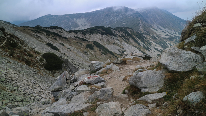 IMG_1445 (700x393, 343Kb)