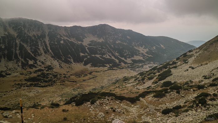 IMG_1452 (700x393, 320Kb)