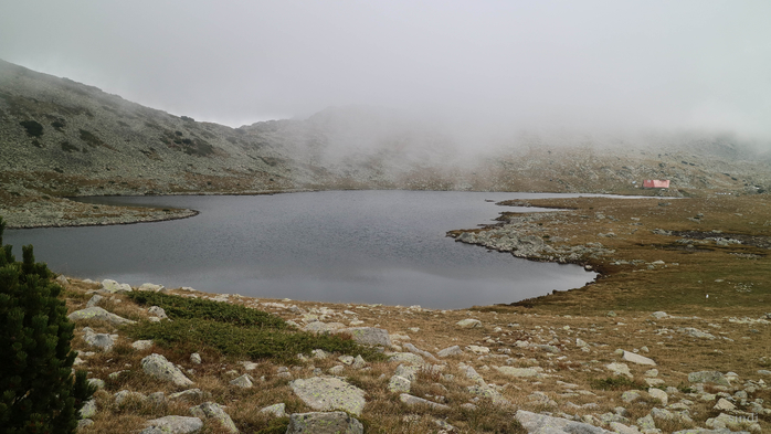 IMG_1455 (700x393, 290Kb)