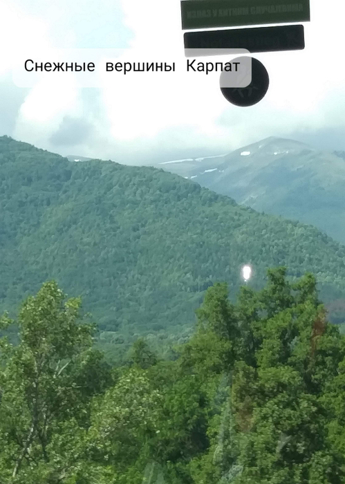 20210617_092721 (499x700, 275Kb)
