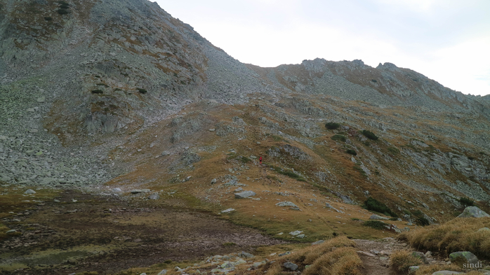 IMG_1496 (700x393, 327Kb)
