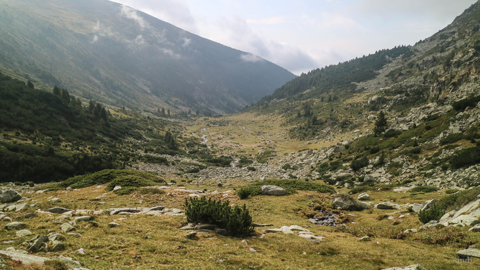 IMG_1527 (700x393, 381Kb)