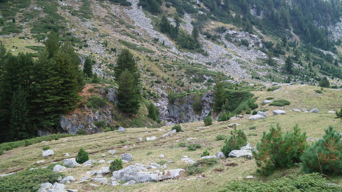 IMG_1535 (700x393, 442Kb)