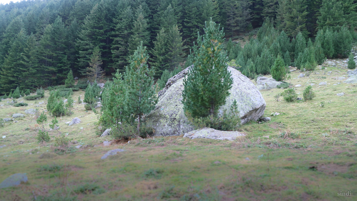 IMG_1541 (700x393, 397Kb)
