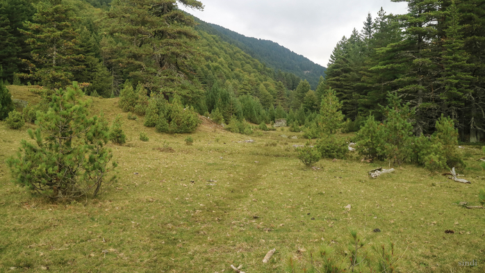 IMG_1547 (700x393, 403Kb)
