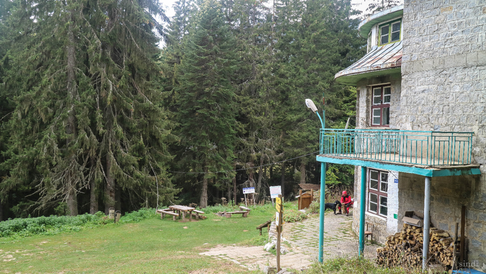 IMG_1557 (700x393, 427Kb)