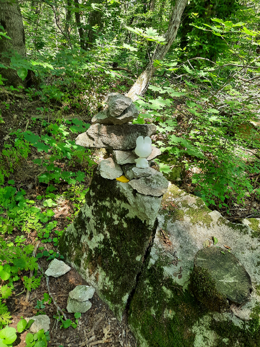 2021-07-09 11-16-21 (525x700, 698Kb)