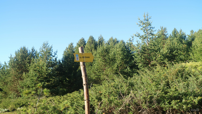 IMG_1584 (700x393, 401Kb)