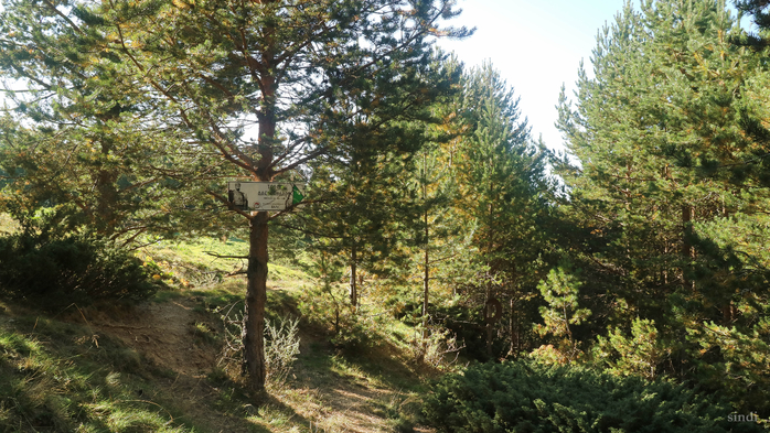IMG_1607 (700x393, 476Kb)