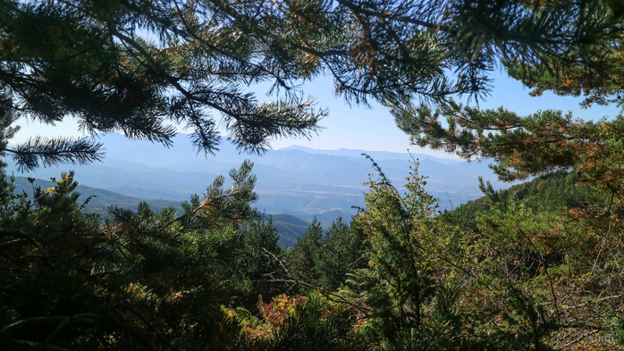 IMG_1611 (700x393, 452Kb)