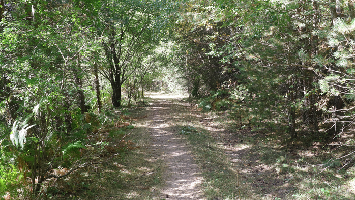 IMG_1622 (700x393, 504Kb)