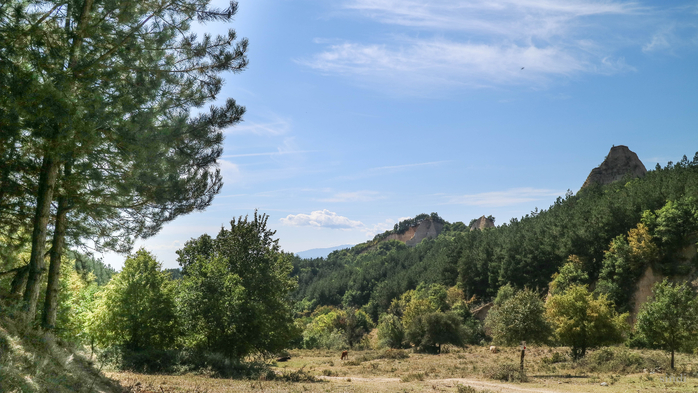 IMG_1639 (700x393, 358Kb)