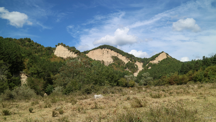 IMG_1643 (700x393, 361Kb)