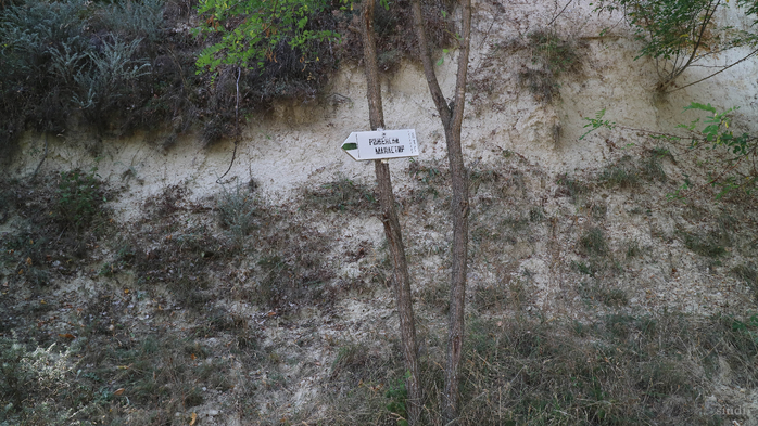 IMG_1653 (700x393, 404Kb)