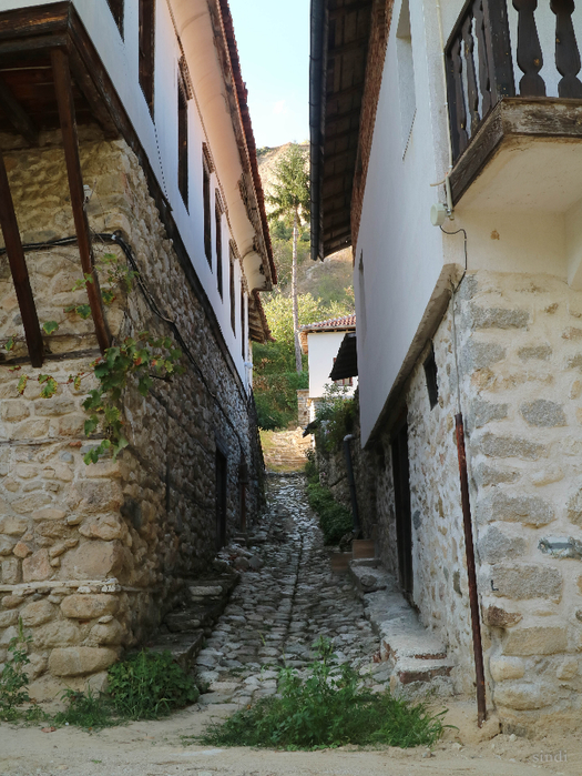 IMG_1721 (525x700, 481Kb)