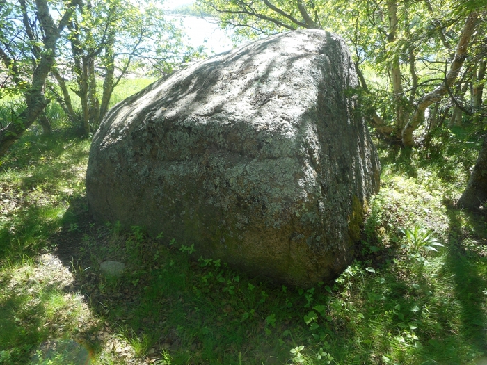 4878453_kyzovaa_202 (700x525, 375Kb)