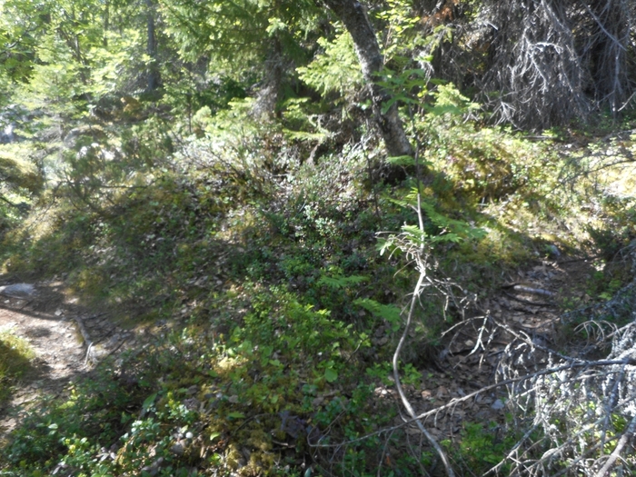 4878453_kyzovaa_114 (700x525, 370Kb)