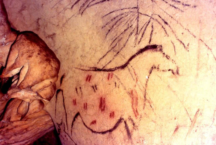 !  ) 00 000 рисунки в пещере Пилета (700x469, 374Kb)