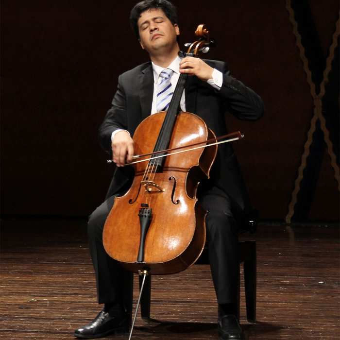 cello-player (700x700, 34Kb)