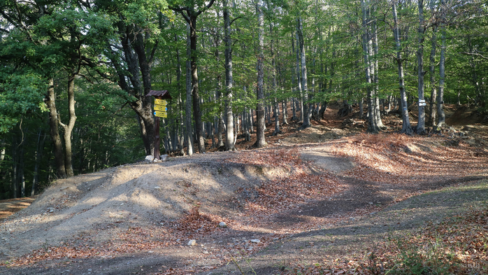 IMG_1860 (700x393, 481Kb)