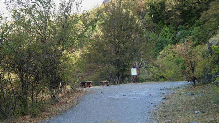 IMG_1870 (700x393, 473Kb)